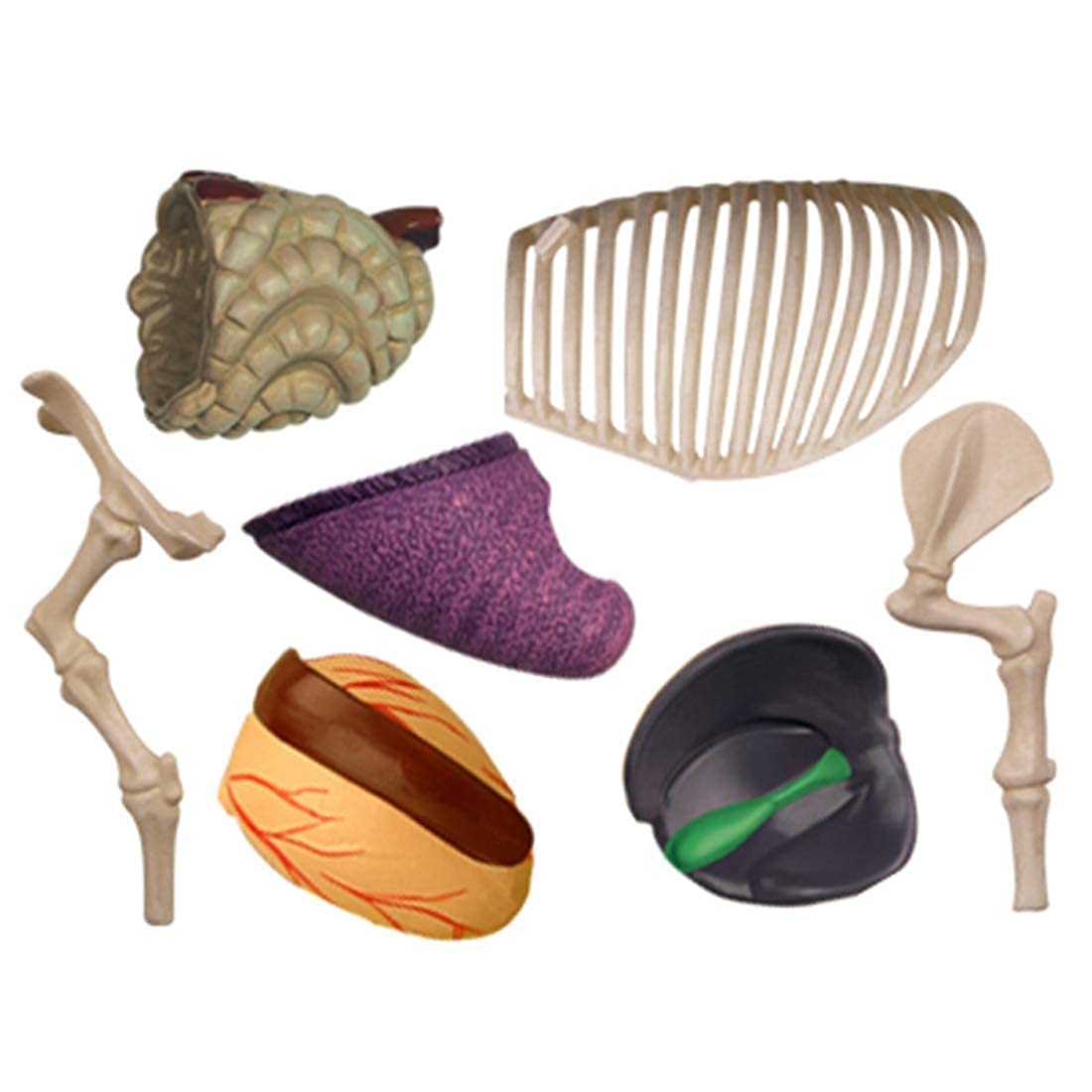 Modelo Ensamblaje Simulación Cerdo Modelo Anatómico Anatomía Biología Animal Órgano 15,6 8,8 7,7 Cm