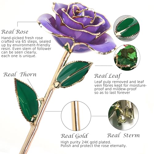 Image of Sinvitron Gold Dipped Infinity Rose - Eternal Resin-Preserved Rose | Forever Flower Decor for Birthdays, Mother's Day, Anniversaries | Unique Gift for Women, Mom, Wife (Lavender Purple)