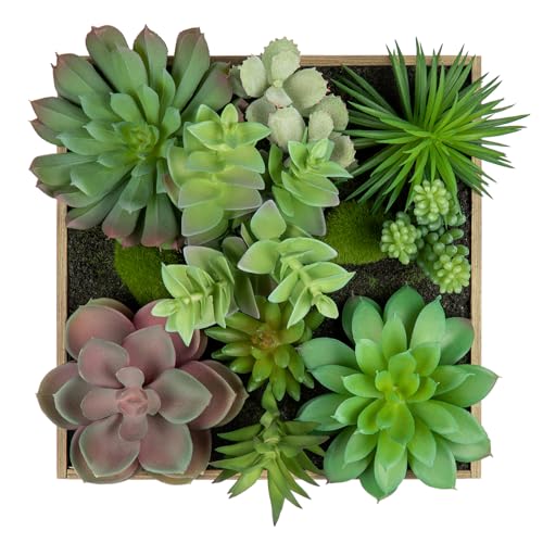 Arborus Plante succulente artificielle murale de 19,8 cm - Plante à suspendre à l'intérieur - Arrangement de plantes succulentes artificielles 3D dans un...