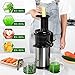 Juicer Machine Portable Vertical Cold Press Juicers BPA-free Reversal Function Slow Masticating Juice Extractor with Clean Brush and Juice Jug