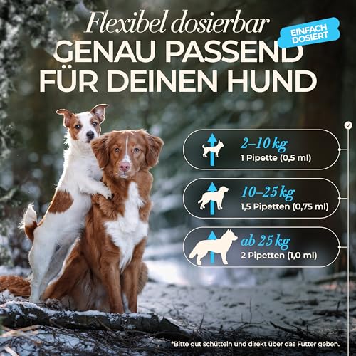ENEMEL Vitamin B Komplex Hund Tropfen 100 ml – flüssiges Vitamin B für Hunde zur einfachen Anwendung, B-Vitamin Komplex zur täglichen Ergänzung & Fütterungsroutine, Premium Qualität Made in Germany