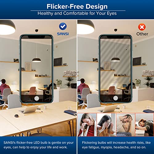 Sansi Upgraded 300W Equivalent Led Light Bulb, 5000 Lumens A21 Non-Dimmable Led Bulb With E26 Base, 30W Power 5000K Daylight White Bright Light Bulb For Home Workshop #TOP2