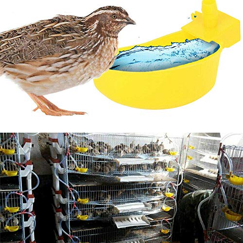 SaiDian 10 Pcs Automatic Bird Waterer for Cage Pigeon Automatic Water Feeder for Chickens Farm Animal Tool Right Hanging Poultry Drinking Bowls