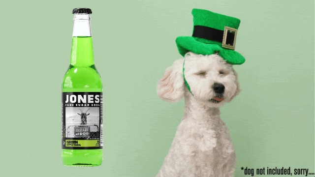 Amazon.com : Jones Soda Co. Green Apple Flavor | 12-Pack | The