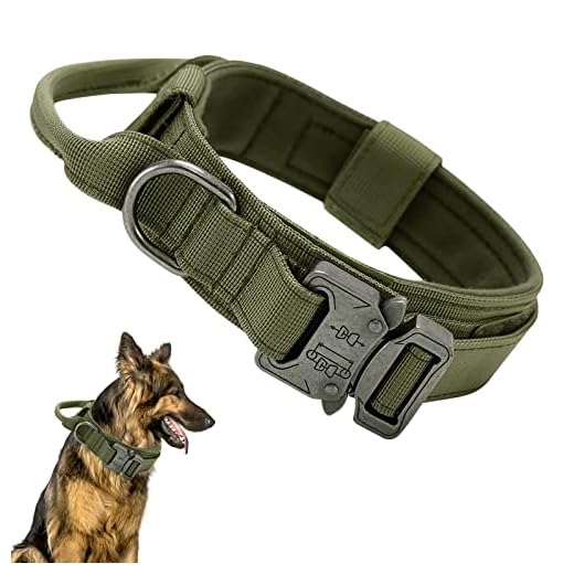 Ledeak Collier de Chien Tactique, Collier Réglable Militaire en Nylon avec Poignée de Commande, Laisse de Chien Bungee Tactique avec Boucle en Métal pour Chiens de Taille Moyenne Chasse