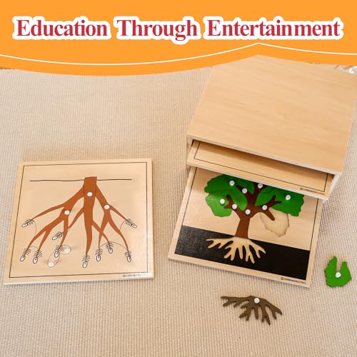 Image of MONTESSORI OUTLET Nature Materials Root Puzzle Early Preschool Learning Toys for 3-12 Year Old Kids and Toddler