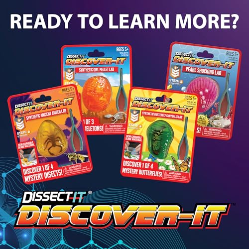 Image of Discover-It Ancient Amber, Science Lab Kit, STEM Toys for Kids, Ages 5+ | Hidden Insect: Open synthetic amber to discover a preserved toy insect while learning about ancient life and STEM