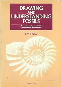 Paperback Drawing and Understanding Fossils Book