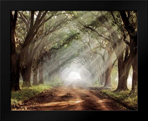 Amazon.com: Evergreen Plantation Framed Art Print by Jones, Mike