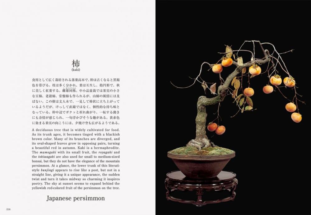 Bonsai: Reprint Edition