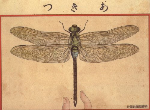 New York Map Company Dragonfly 1908 Japanese Print Japanese Wall Art Home Decor Reproduction #TOP4