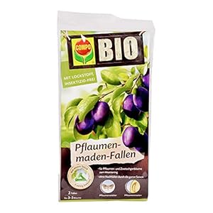 COMPO BIO Pruimenmade-vallen, incl. binddraden, met lokstof, insecticidevrij, 2 stuks