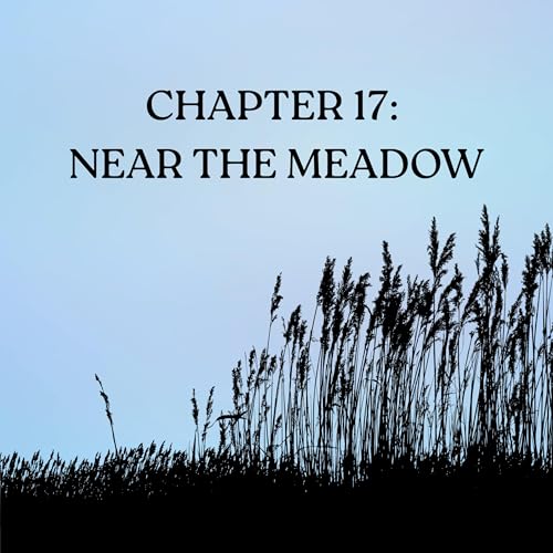Chapter 17: Near The Meadow