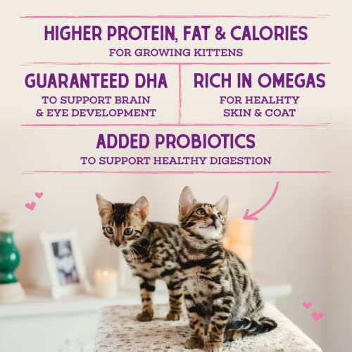 Stella & Chewy's Raw Coated Premium Kibble Cat & Kitten Food – Grain Free, Protein Rich Meals – Cage-Free Chicken for Kittens Recipe – 2.5 lb. Bag - image 6