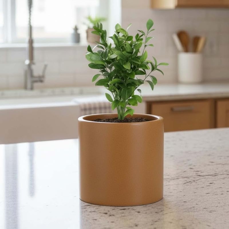 Image of Amazon Brand - Umi Tube 12 Inch Round Pots for Planter & Flowers Gamla - Lightweight, Durable Outdoor & Indoor Planters, Perfect for Balcony & Terrace Gardens (Brown)