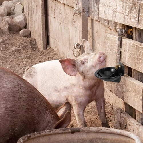 Toddmomy Tigela Automática De Água Potável Para Vaca Tigela De Água Potável Para Animais Bebedouro A