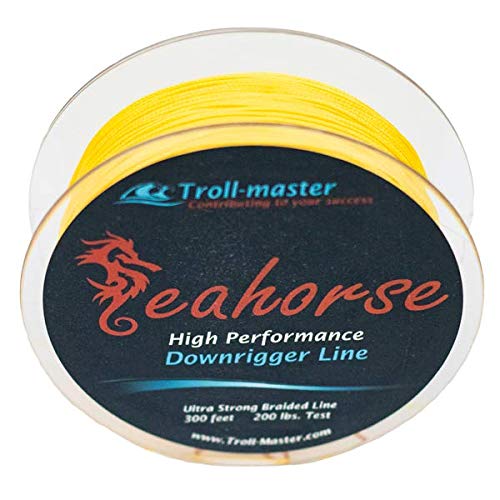 200 lb test braided fishing line Amazon.com : Seahorse Downrigger Braided Line Yellow 300 Feet 200 Lbs Test  : Sports & Outdoors