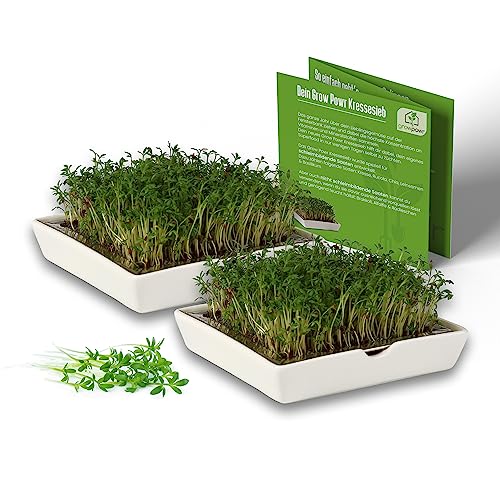 Sprossen Anzuchtset – Die 15 besten Produkte im Vergleich ... Sprossen Anzuchtset – Die 15 besten Produkte im Vergleich ...