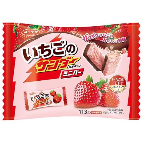 Ly ̃T_[ ~jo[ 113g×12×(2P[X)