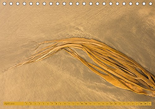 Am Strand - Fundstücke und Kunstwerke (Tischkalender 2018 DIN A5 quer): Schätze aus dem Meer und Kunst am Strand (Monatskalender, 14 Seiten ) (CALVENDO Natur)