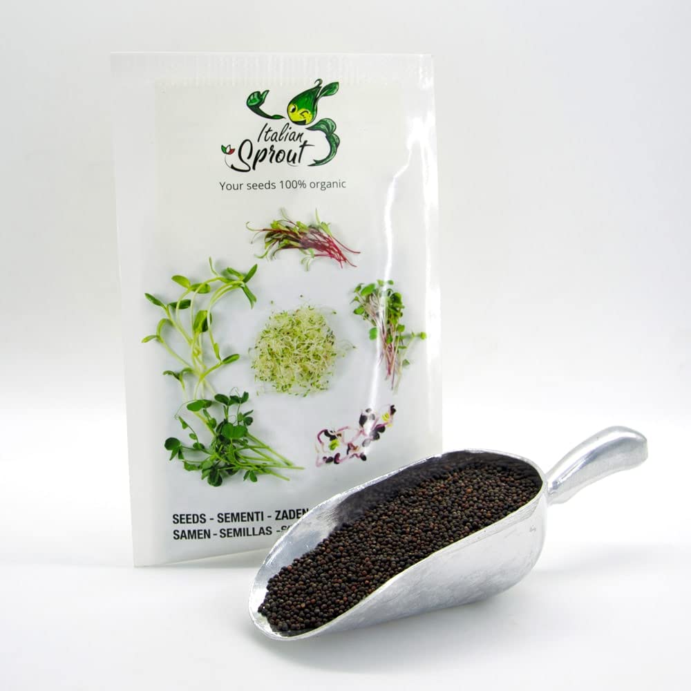 Semi per germogli - Cavolo rosso Marte - 200 gr.