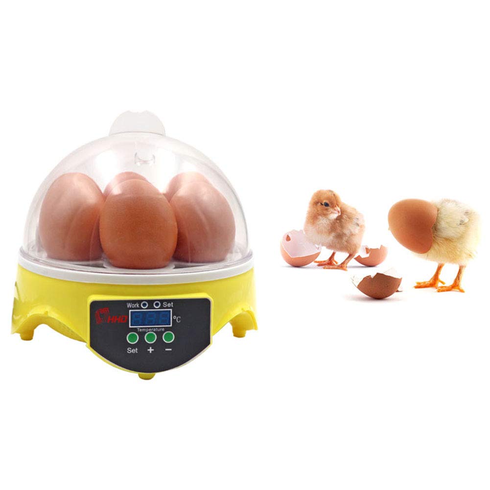 Buy Egg Incubator, Egg Incubators for Hatching Eggs, 7 Mini Eggs