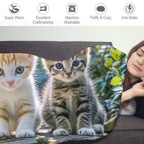 Couverture douce chat peluche ronde plaid unisexe imprimé