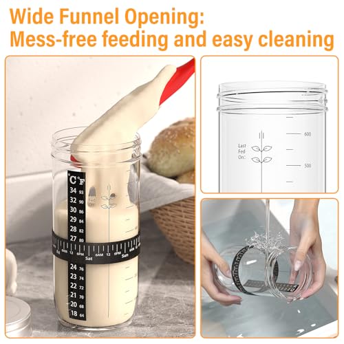 Kit de démarrage au levain contre les pains ratés : bocal 680g compatible four de chauffage