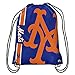 MLB New York Mets Unisex 2015 Drawstring Backpack, One Size