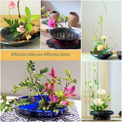 Dafencar 4 Pièces Kenzan, Support de Tige Fleurs, Flower Frog, Kenzan Grenouilles, Décoration de Fleur Fixe Outil, Kenzan Ikebana Convient aux Jardins Ffleuristes Florale Salons Salons Thé Bureaux – vue 2