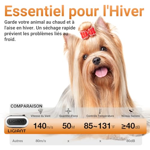 LIGIANT P40 Hundefön Blower, Ultra-Leise (40 dB Katzen-Modus), 3-in-1 Düsen, Einstellbare Geschwindigkeit & Temperatur, Negativ-Ionen-Technologie, Tragbar & All-in-One-Aufbewahrung für Hunde & Katzen