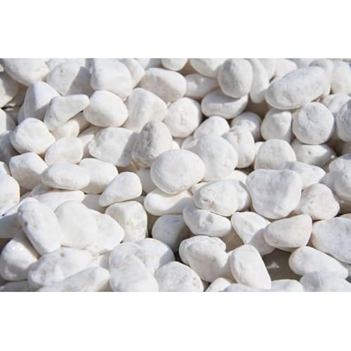  VR嗝 ύ ^  100YVR amK[fjO O\ 10(28`35) (zCg, 1kg)