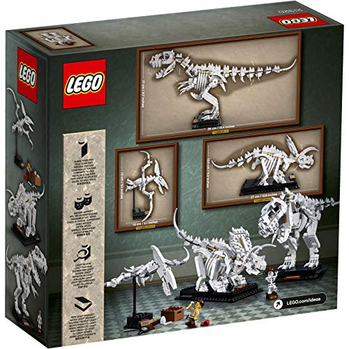 LEGO Ideas 21320 - F�siles de dinosaurio