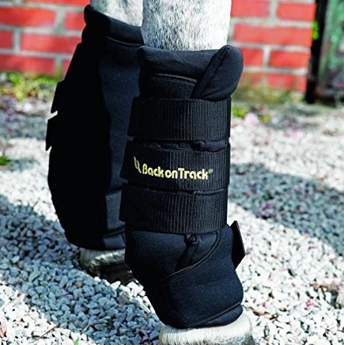 Back On Track 2-Piece 14-Inch Therapeutic Horse Royal Quick Wrap, Medium #TOP1