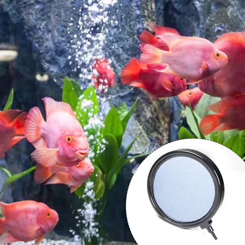 Image of Utoolmart 5 Inch Aquarium Air Stone Disc for Fish Tank Pump | Fine Bubble Diffusion, Durable Mineral Material, Fits Most Air Pumps, Suitable for Aquariums, Ponds, Hydroponics