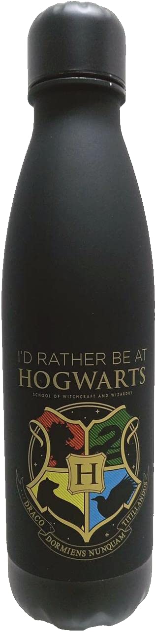 Harry Potter Hogwarts aluminium bottle