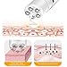Hot Cream, Cellulite Removal Fat Burning Cream for Belly with Massage Roller, Thermogenic Weight Loss Break Down Fat Tissue, Tightens Skin Perfectly Shape Waist,Abdomen and Buttock