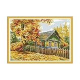 Contenu de l'emballage: fil coloré, tissu en coton, aiguille.