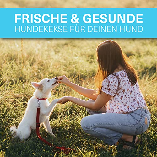 YAVA® medium Halbkugel (1,5cm) Backmatte Hundekekse, Premium Silikon Backmatte für Hundeleckerli, Hundekekse Backform, Leckerli Backmatte für Hunde, Backmatten für Hundeleckerlies, BPA-frei (Türkis)