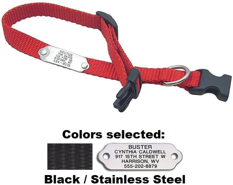 LuckyPet Rivet ID Collar - Personalized Dog Collar - Engraved Metal Tag Riveted to Adjustable Nylon Dog Collar - Collar: 5/8" x 10-16" Neon Pink, Tag: Polished Brass