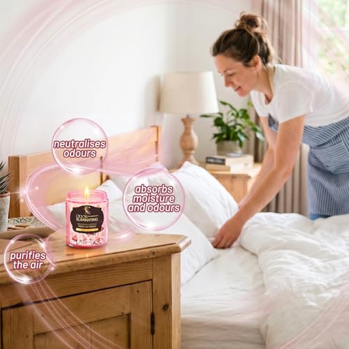 Image of Rose Odor Eliminating Candles, Pet Scented Candles for Home, Single Wick Soy Candle Gifts for Women, Men, Ideal for Creating Relaxing Atmosphere, Over 50 Hours of Burn Time (Pack of 2)