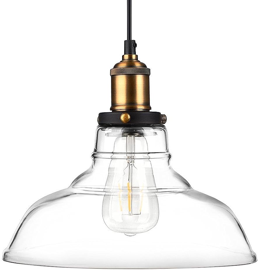 Newhouse Lighting GHPENKIT Rustic Vintage Edison Style 1 Pendant Glass Hanging Light Kit, Clear