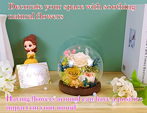Valley Of Rain & Forest U-B20221 Long-Lasting Real Flowers, Unique Floral Gift For You To Send Love For All Occasions, For Indoor Decoration thumb #4