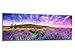 Produktbild Glasbilder Echtglas Wandbilder Foto auf Glas Lila Landschaft 125 x 50cm AG312502139 / Deco Glass, Design & Handmade/Eyecatcher, Kunstdruck!