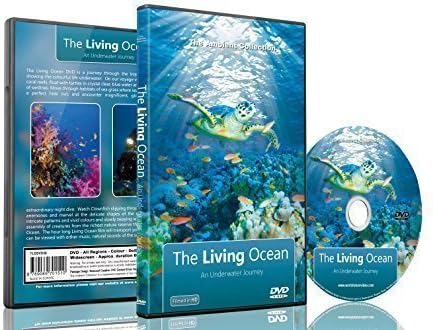 Underwater DVD- The Living Ocean - Relaxing Scenes of the Underwater World