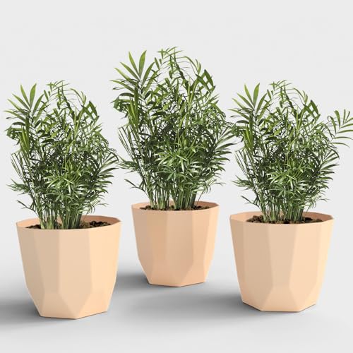 Image of YUCCABE ITALIA SHERA Hexa Plastic Planter Pot for Plants | Decorative Flower Pot | UV Protected Lightweight Indoor Outdoor Gamla for Home Decor, Balcony, Garden & Living Room