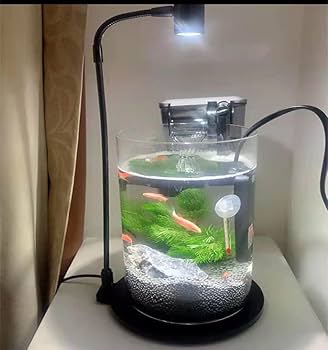 中型ガラス水槽 LEDライト付き YEE卸売ワンピース超白色ガラス水槽水族館水槽LEDライト付き