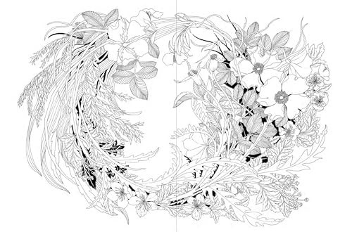 A Walk in the Woods: An Intricate Coloring Book - Image 4