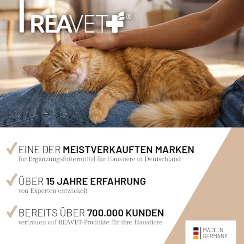 ReaVET Magenmild Pulver für Katzen – Bei empfindlichem Magen, Neigung zu Erbrechen, Würgen, Sodbrennen oder weichem KOT – Magenpulver naturrein mit Bentonit, Heilerde I 50g