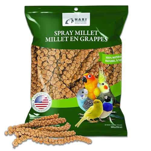 Living World – Millet Spray for Birds, 17.6 Oz – Premium Treat for Budgies, Canaries, Finches, Cockatiels and Other Pet Birds